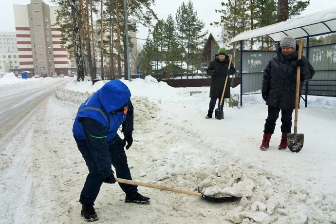 Помощь в уборке снега Помощь в уборке снега