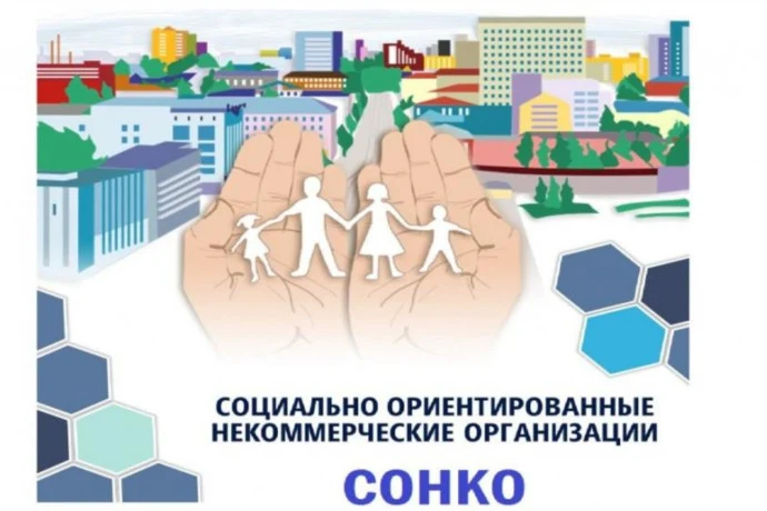 Социально-ориент. некомм. орг. Социально-ориент. некомм. орг.