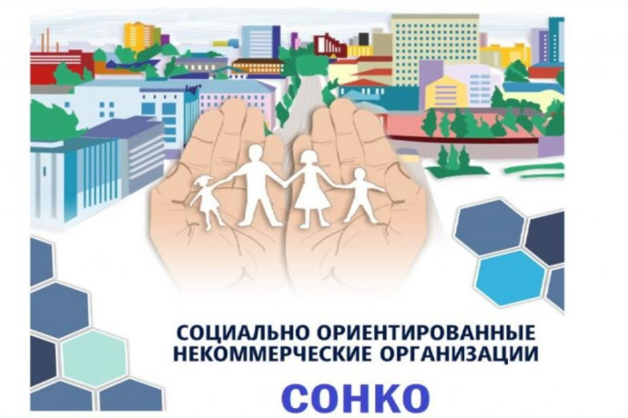 социально ориентированные некоммерческие организации Изображение