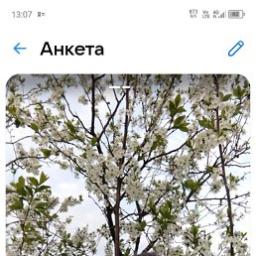  Виталий