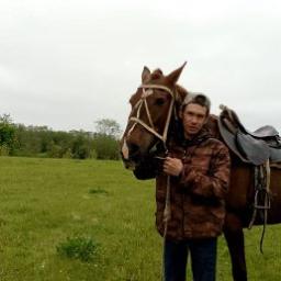  Домовой