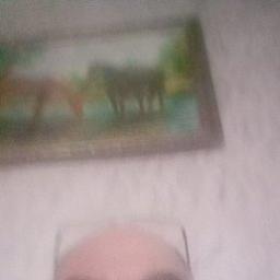  Алекс