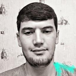  Ali