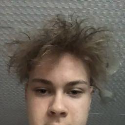  Artem