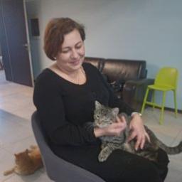  Ангелина
