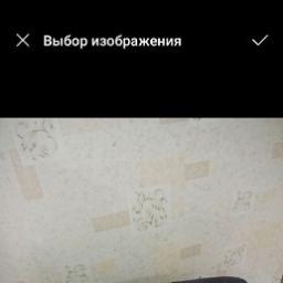  No name
