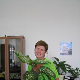 Мадам