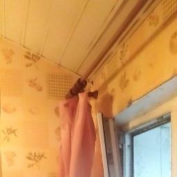  Мир