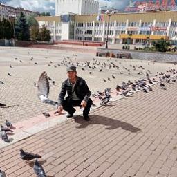  Голиб ва зинат