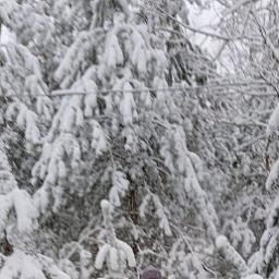  Султан