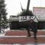  волк одиночка